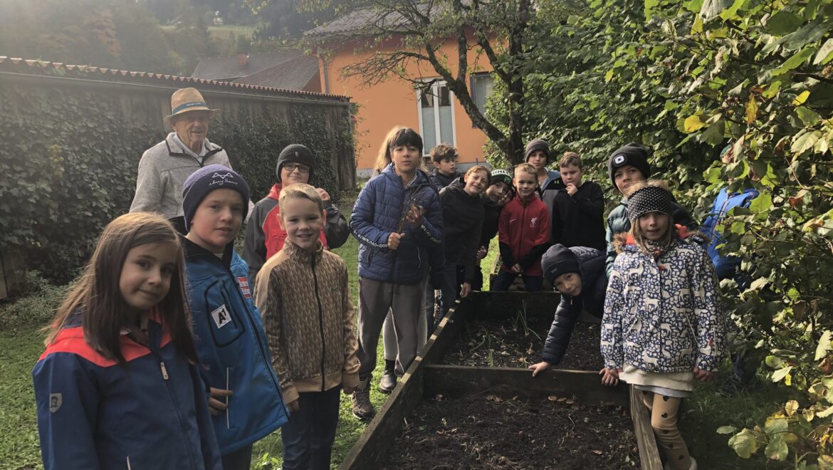 Kartoffelernte im Schulgarten mit Herrn Hackl