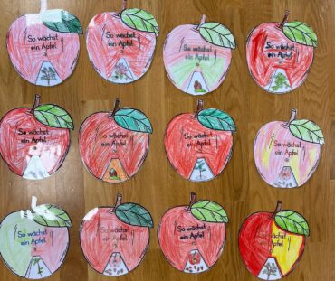 Apfelprojekt in der 1. Klasse – Eine Woche rund um den Apfel