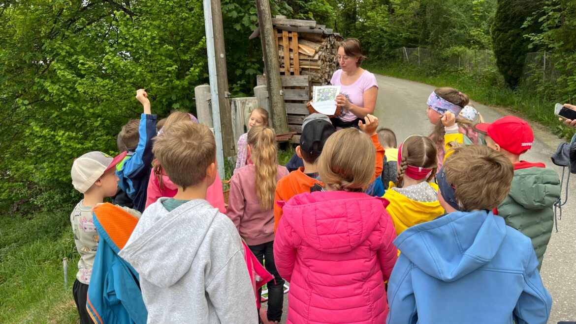 Kräuterwanderung