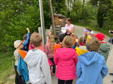 Kräuterwanderung
